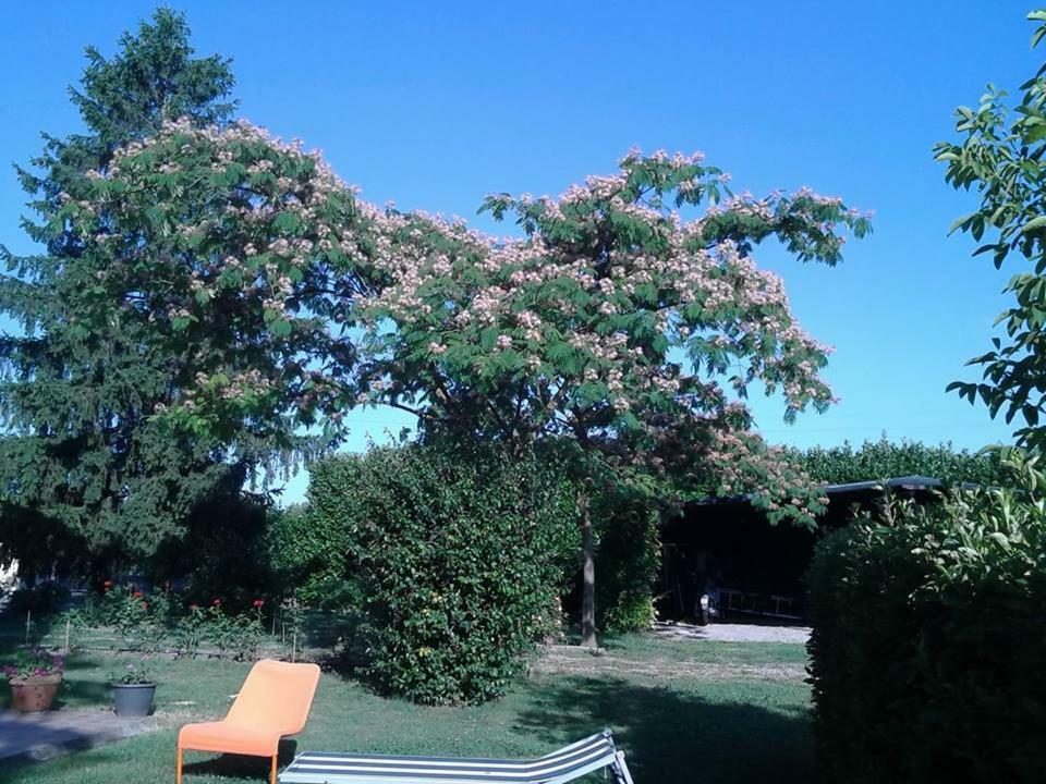 Residenza Gavioli Via Angelelli - Parco Navile Castel Maggiore Zewnętrze zdjęcie